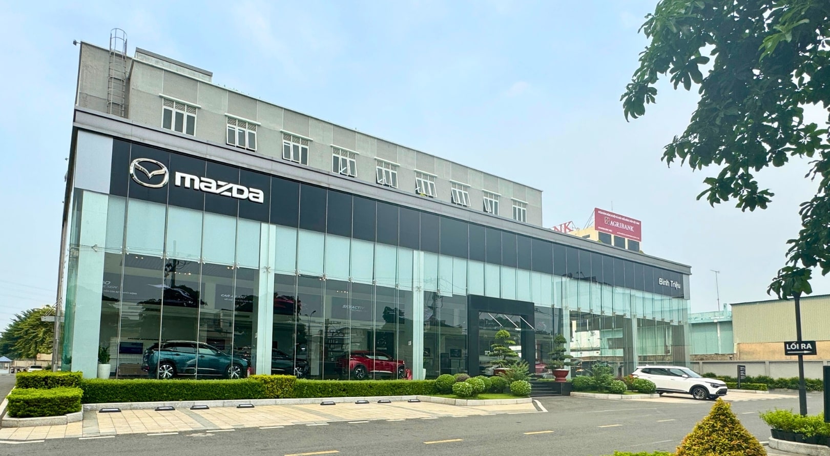 Mazda Bình Triệu